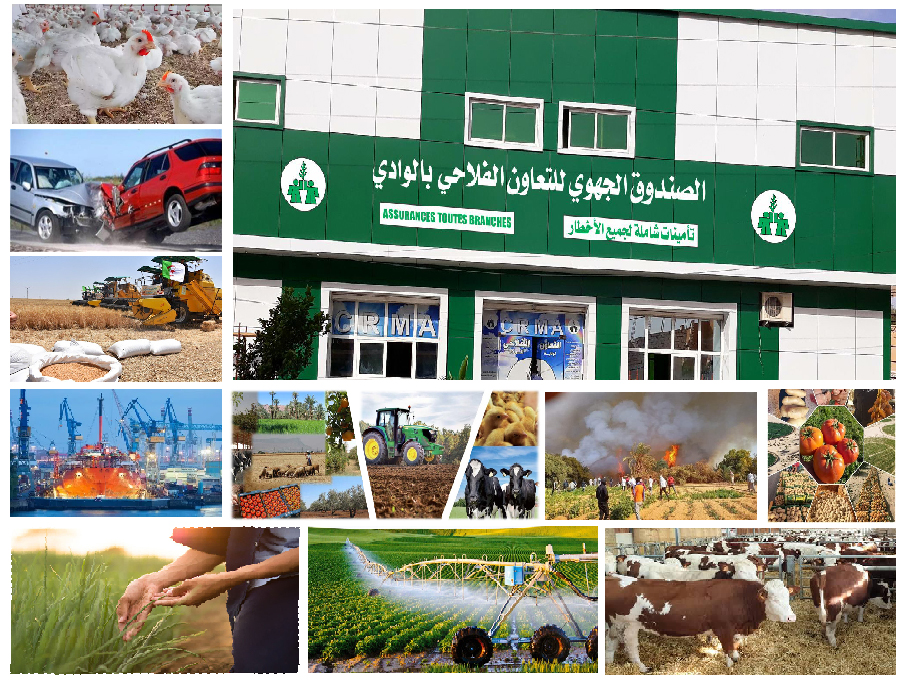 CRMA EL OUED