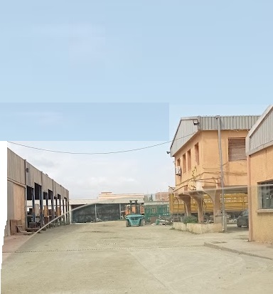 SNC DAHO BENAMEUR ET FILS