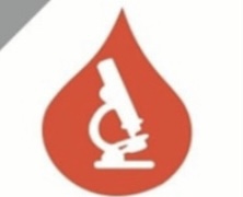 laboratoire STAMBOUL KAMILA